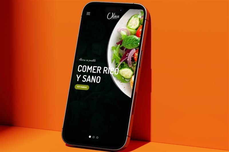 Sitio web de Viandas — desarrollo de WebWooCommerce
